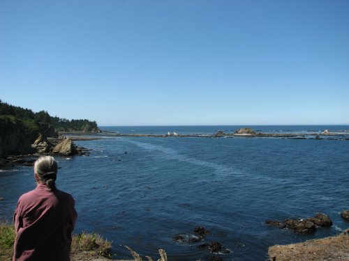 Overlooking South COve